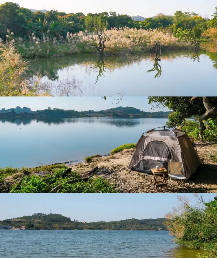 这不是大理洱海，是广州的小众宝藏江心小岛