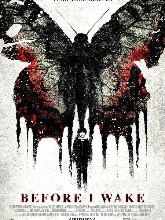 好剧推荐《梦醒之前》