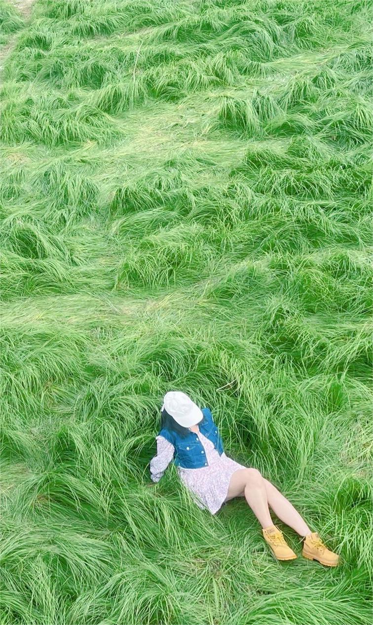 南京|宫崎骏童话龙猫草海攻略