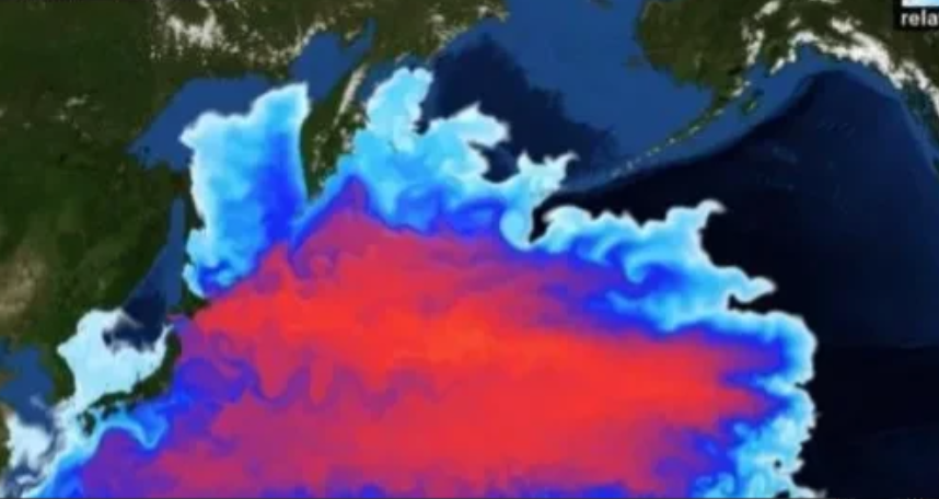 俄罗斯外长拉夫罗拉称:“日本在二战中犯下滔天罪行无法原谅，现在不顾全世界的公然反