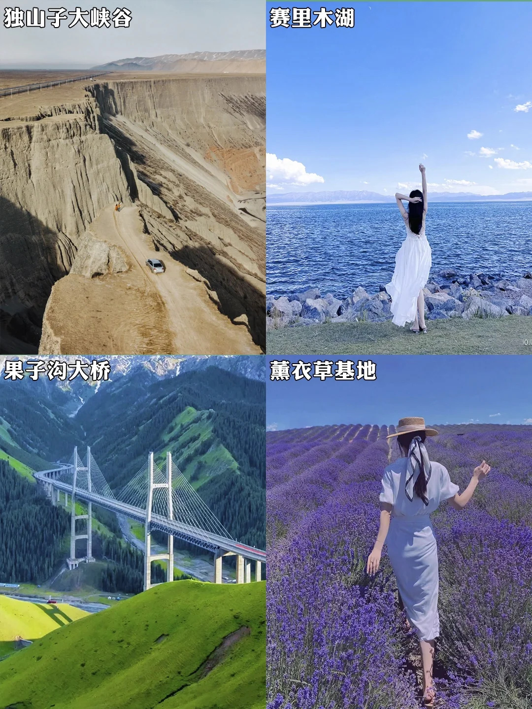 新疆伊犁环线🌿强烈安利给喜欢大草原的你