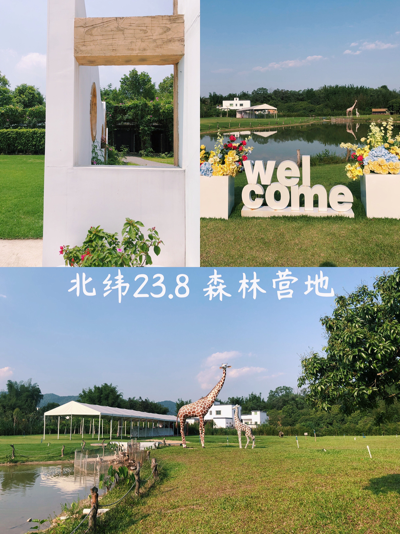 💛从化北纬23度8森林露营｜西班牙风情