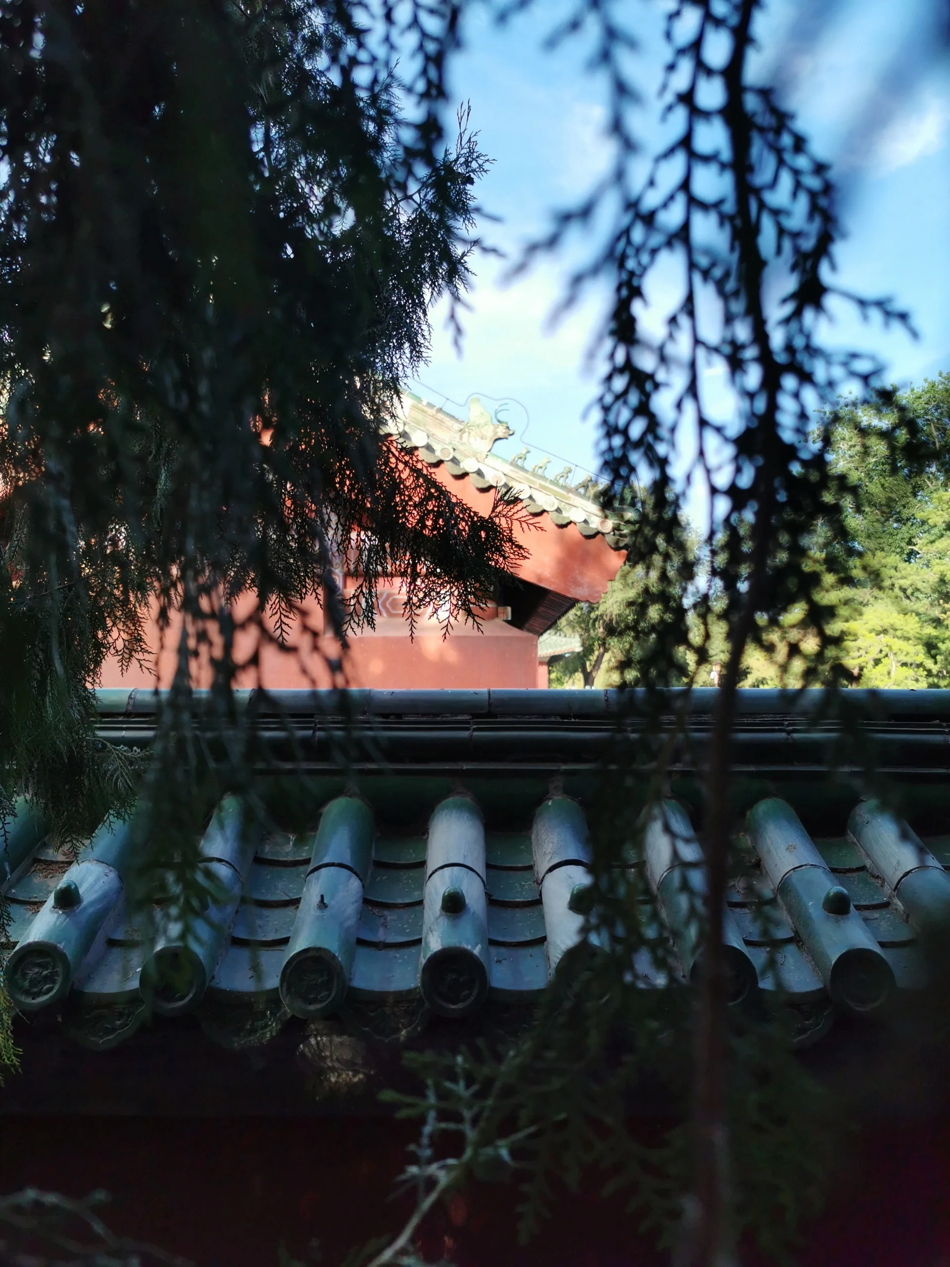 【北京遛娃-地坛公园】