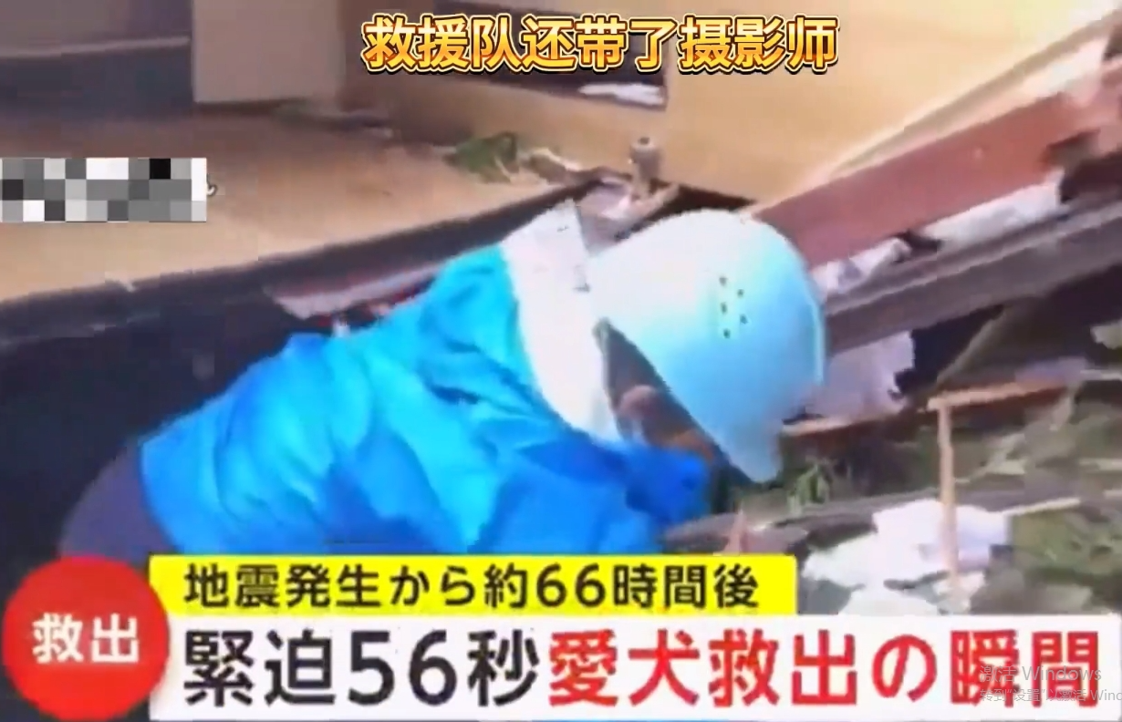 日本果然又从地震灾区救出狗了，救宠物作为西方国家救援活动的压轴大戏，虽迟但到。根