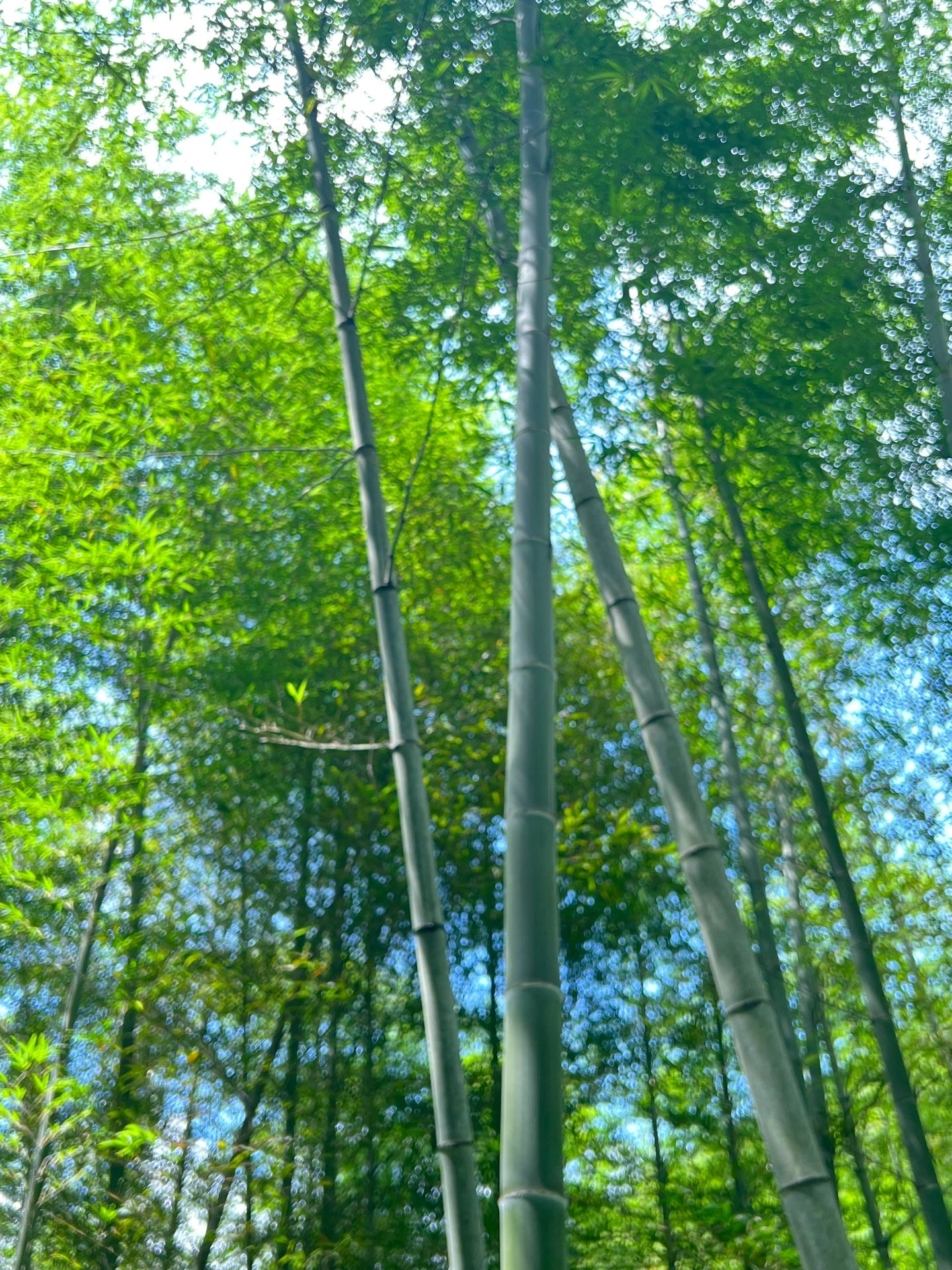 广州|徒步|周边路线攻略