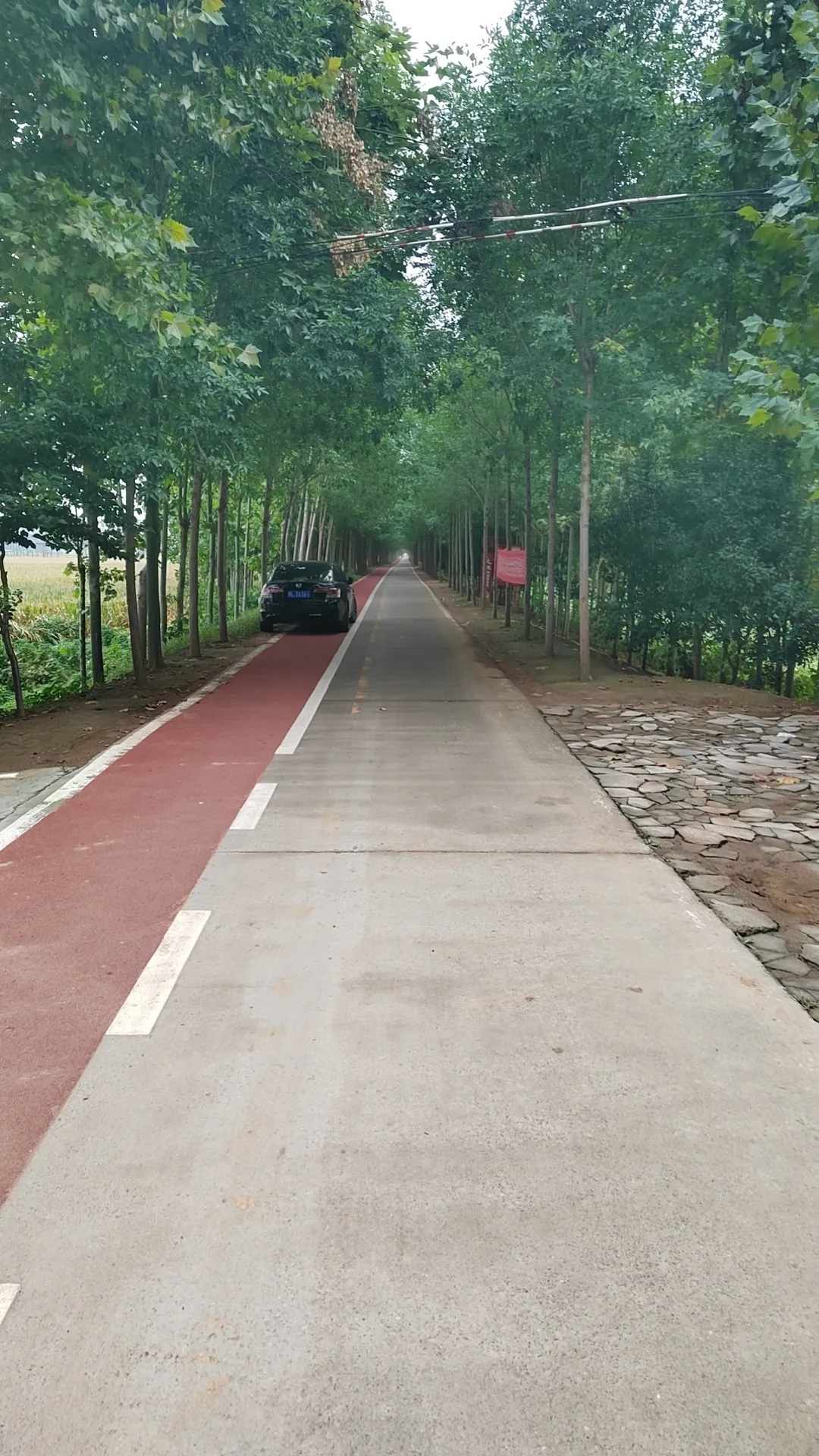 今天上午去银行办业务，一个顾客和柜员吵起来。顾客是定期存单，大额。今天到期。要现