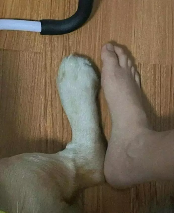 一觉醒来变成了这样，该怎么办