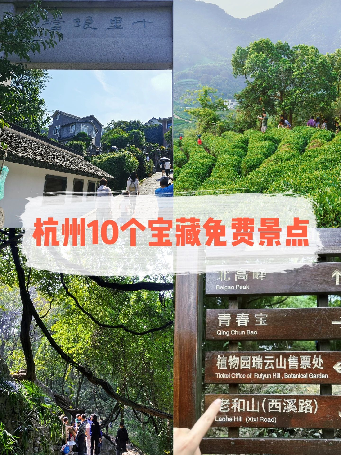 杭州最值得玩的10个免费景点