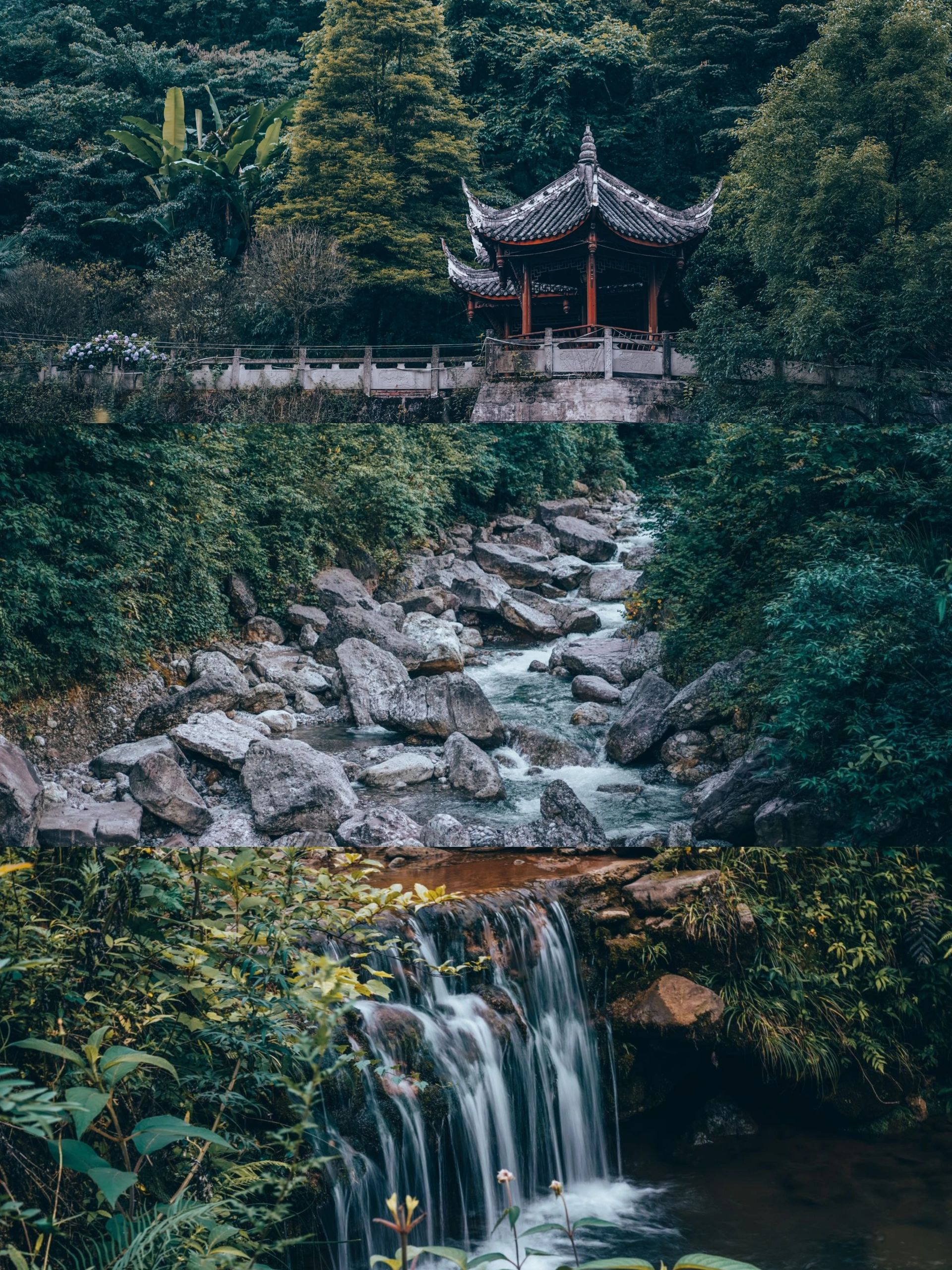 青城山这个避暑胜地能说吗？超全攻略