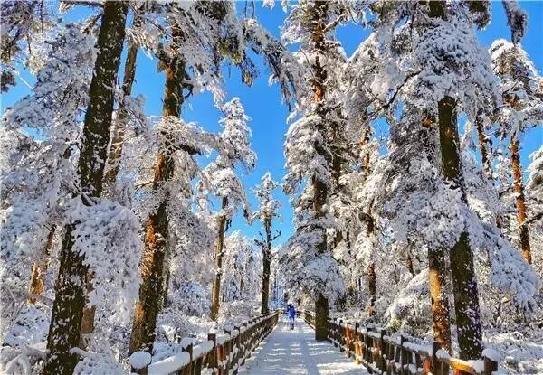 冰雪王国下雪啦！！瓦屋山冬季出游攻略
