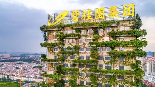 碧桂园的生死时刻与房地产的黄昏