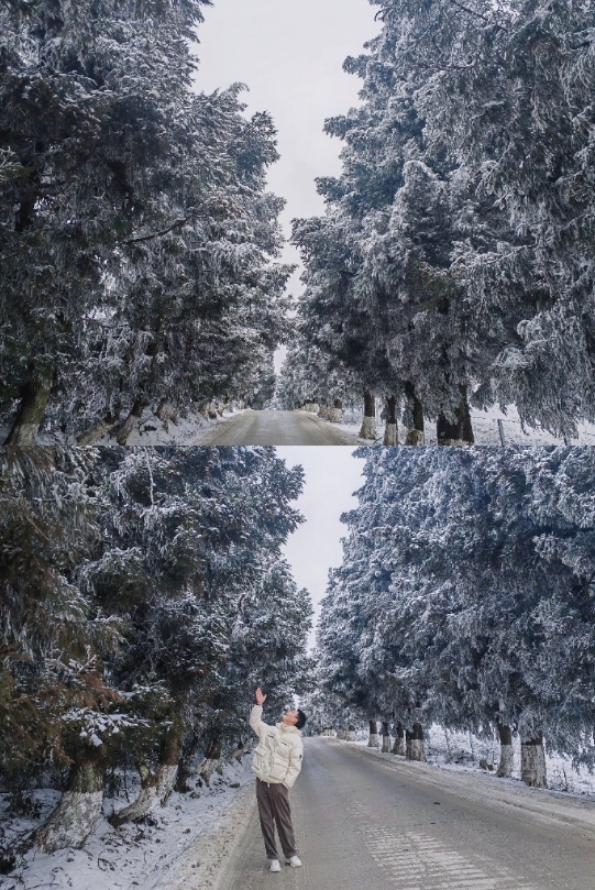 玩了几场雪，夹鸭子的技术越发熟练。 ​