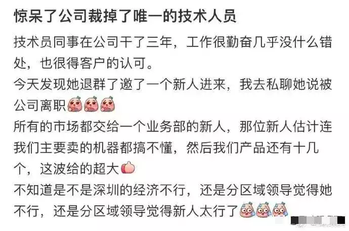 公司裁掉了唯一的技术人员