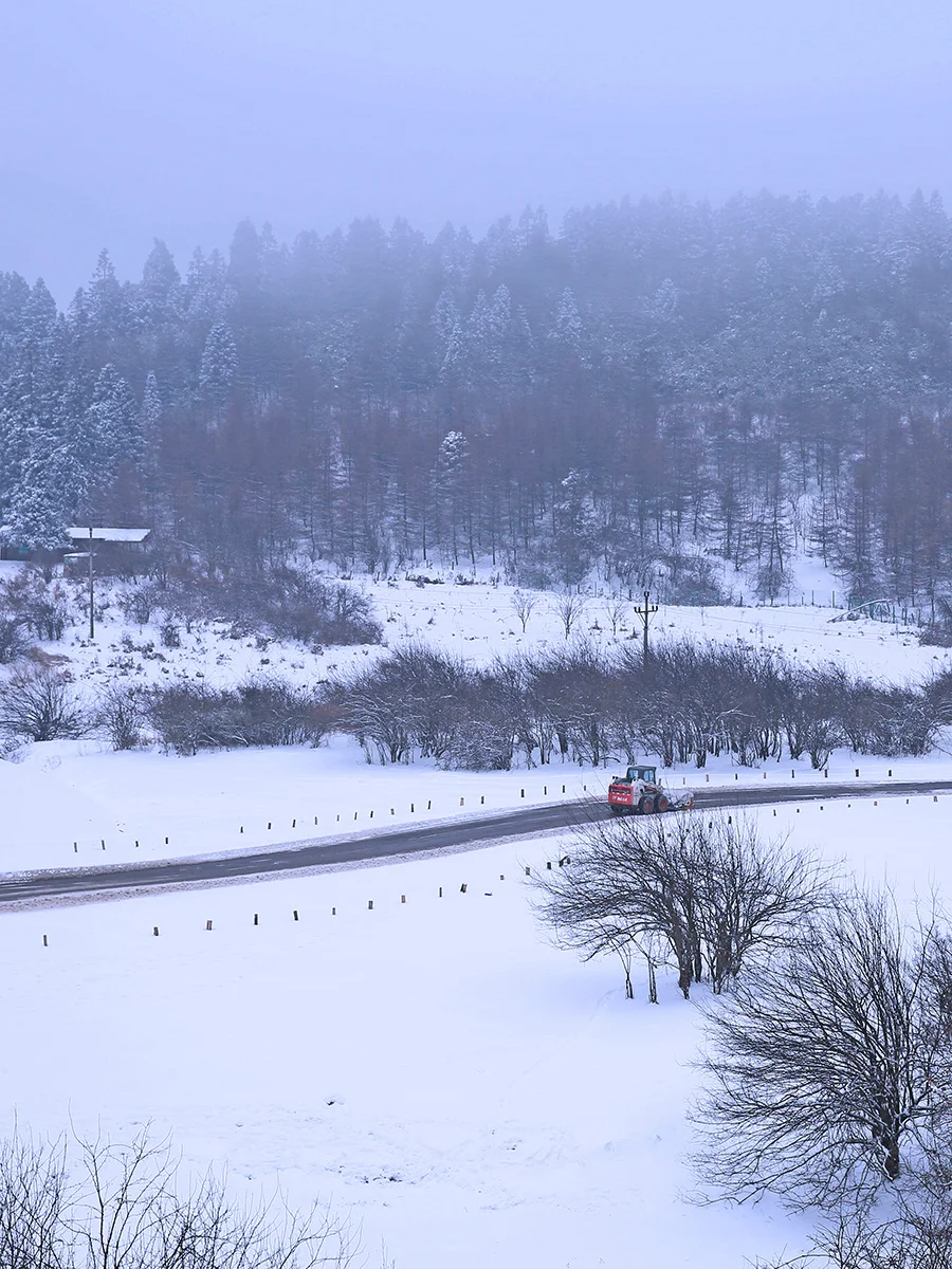 重庆仙女山北国风光，推荐拍雪景的地方