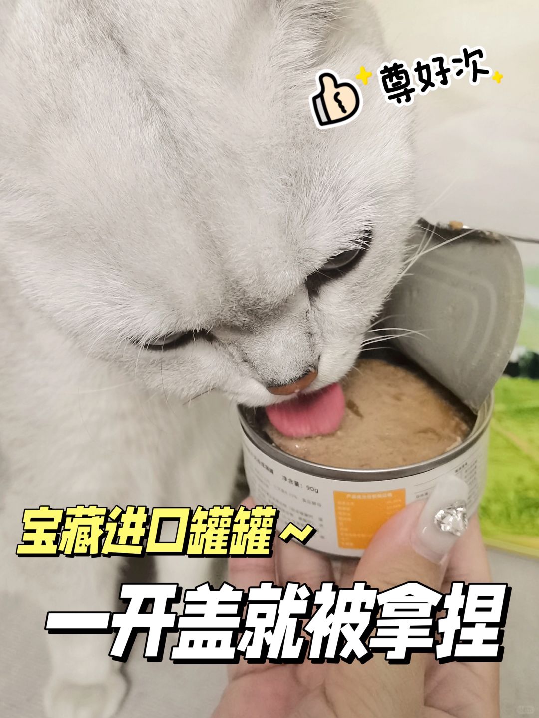 😺妈妈，这个罐罐我爱次～
只能说这个罐罐适口性无可抵挡，小猫咪一开盖就被拿捏，