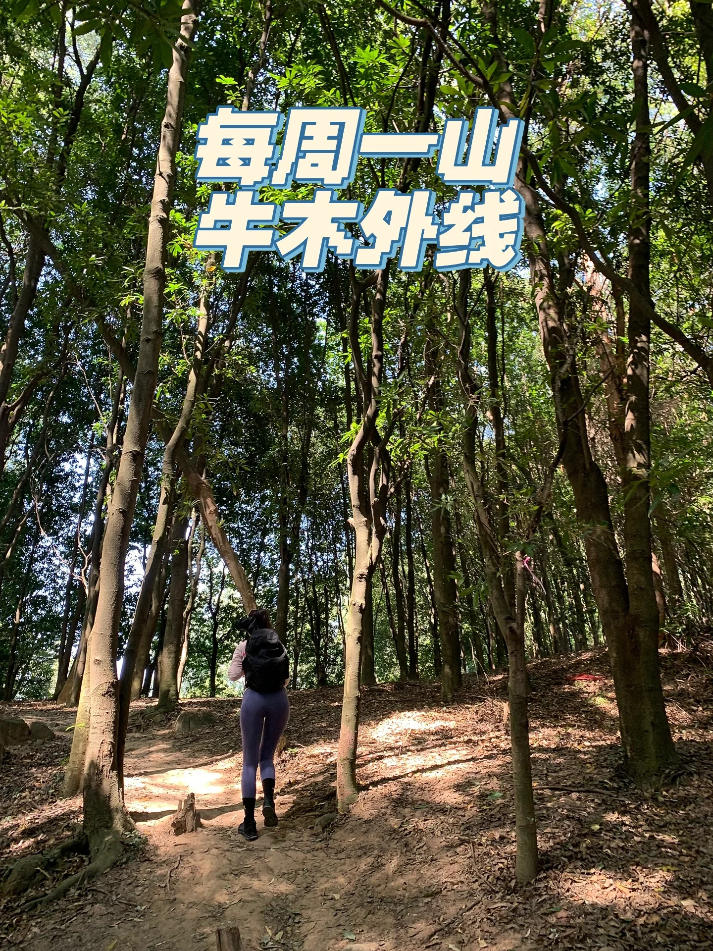 每周一山·牛木外线