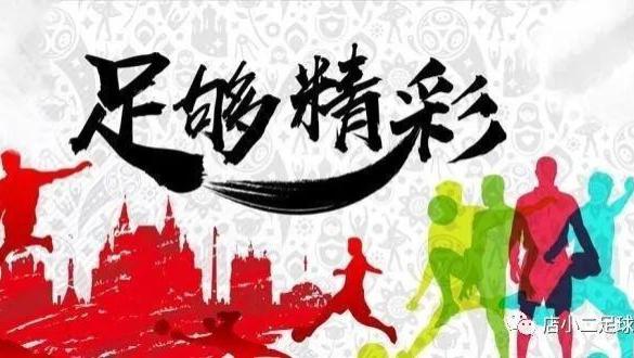 盛开的紫百合也有凋零的那一刻