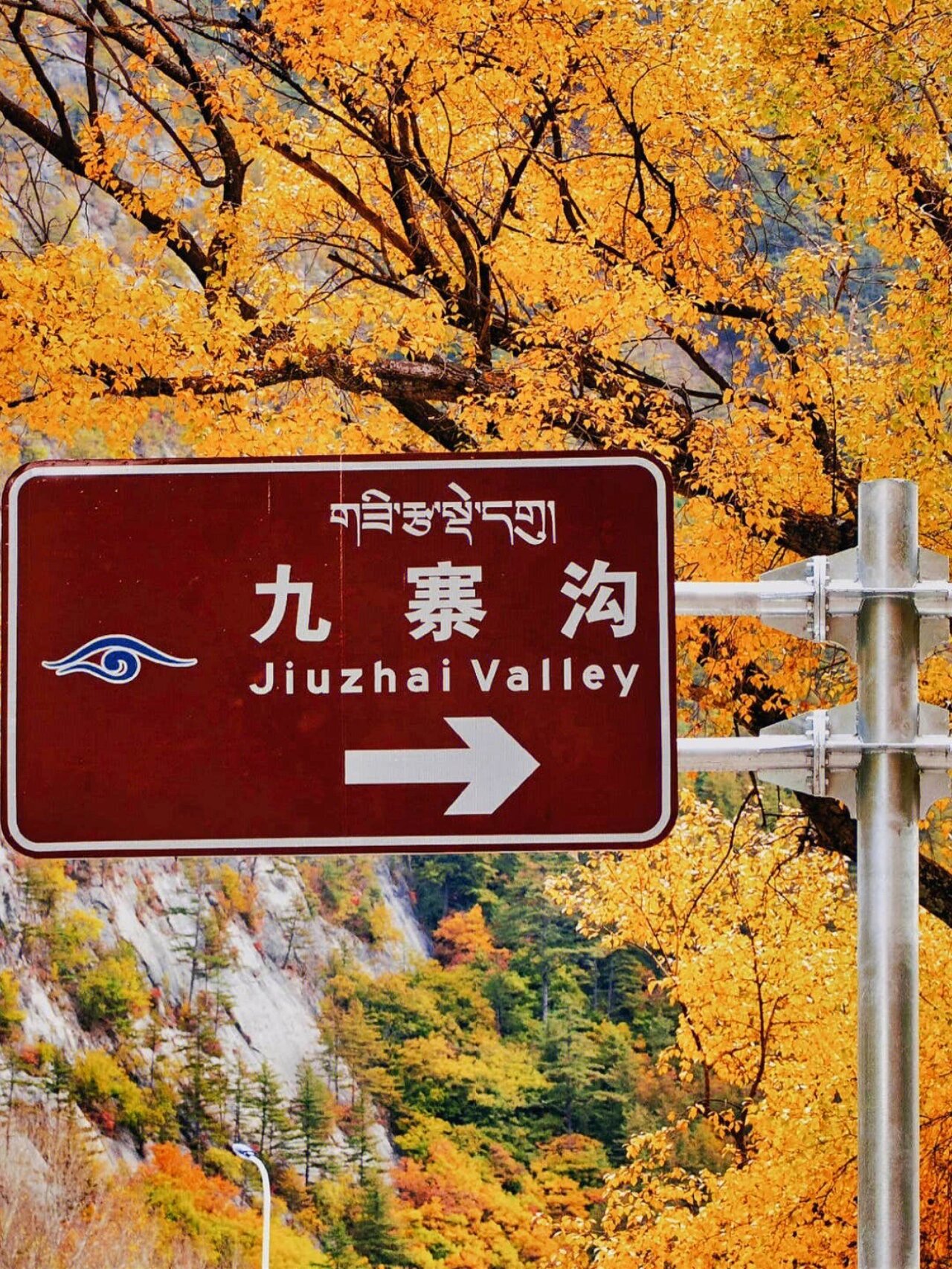 金秋10-11🈷️九寨沟线路