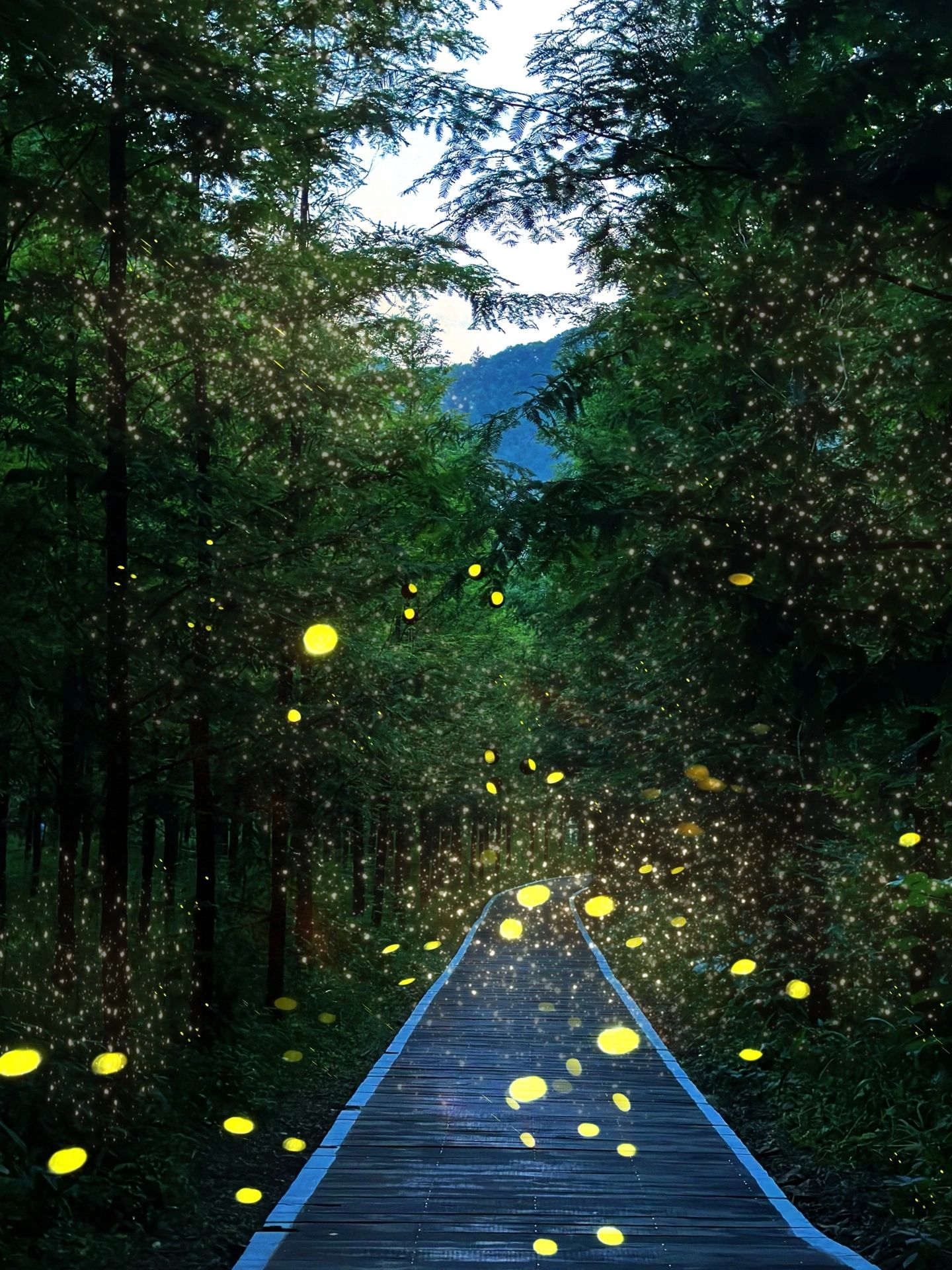 旅游胜地—千岛湖，两天一夜游玩攻略