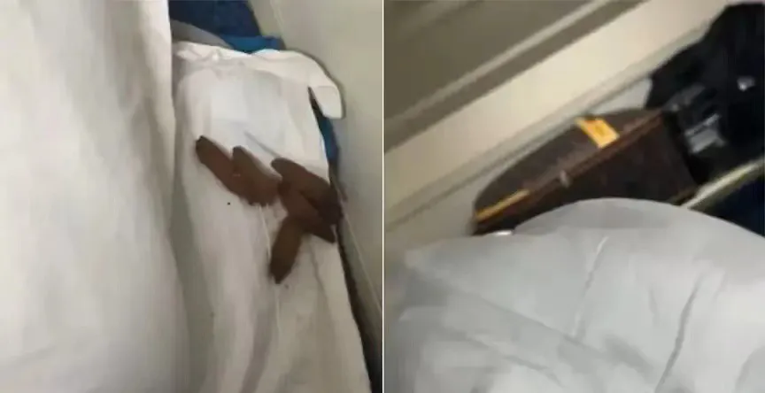 火车铺位枕头下面的小惊喜！ 

惊不惊喜？意不意外？

这个小惊喜，给下一站的客