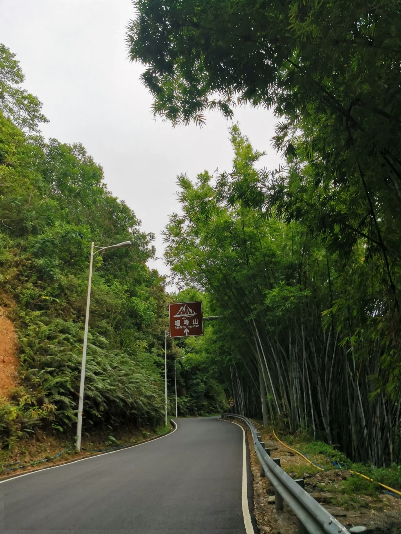 周末挑战了广州市区第一高峰