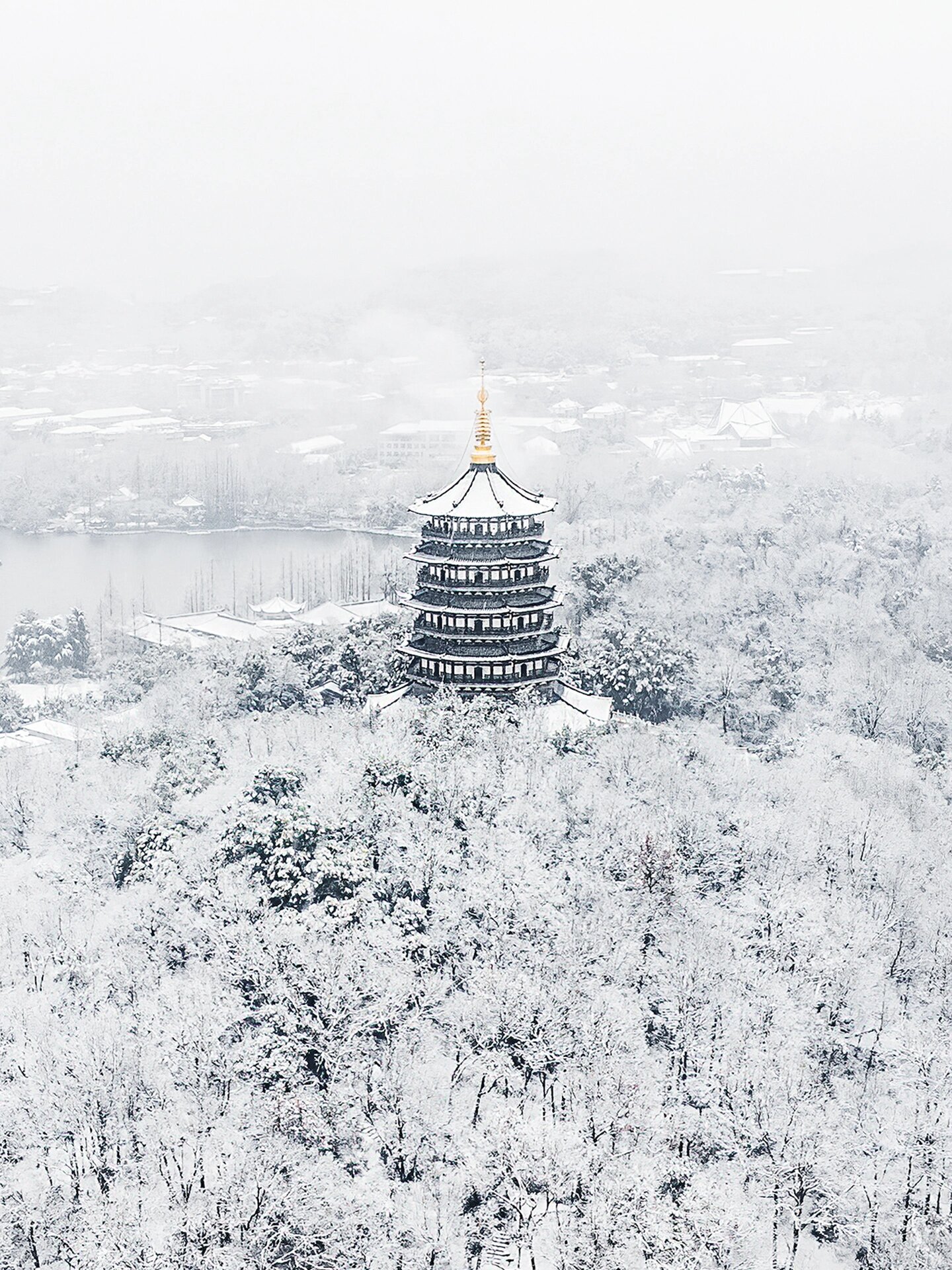杭州下雪了❗一定要来西湖看雪啊❄️