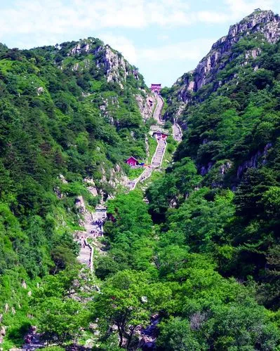 
年华似锦131419
2023-12-04 23:55

关注
泰山有多厉害
