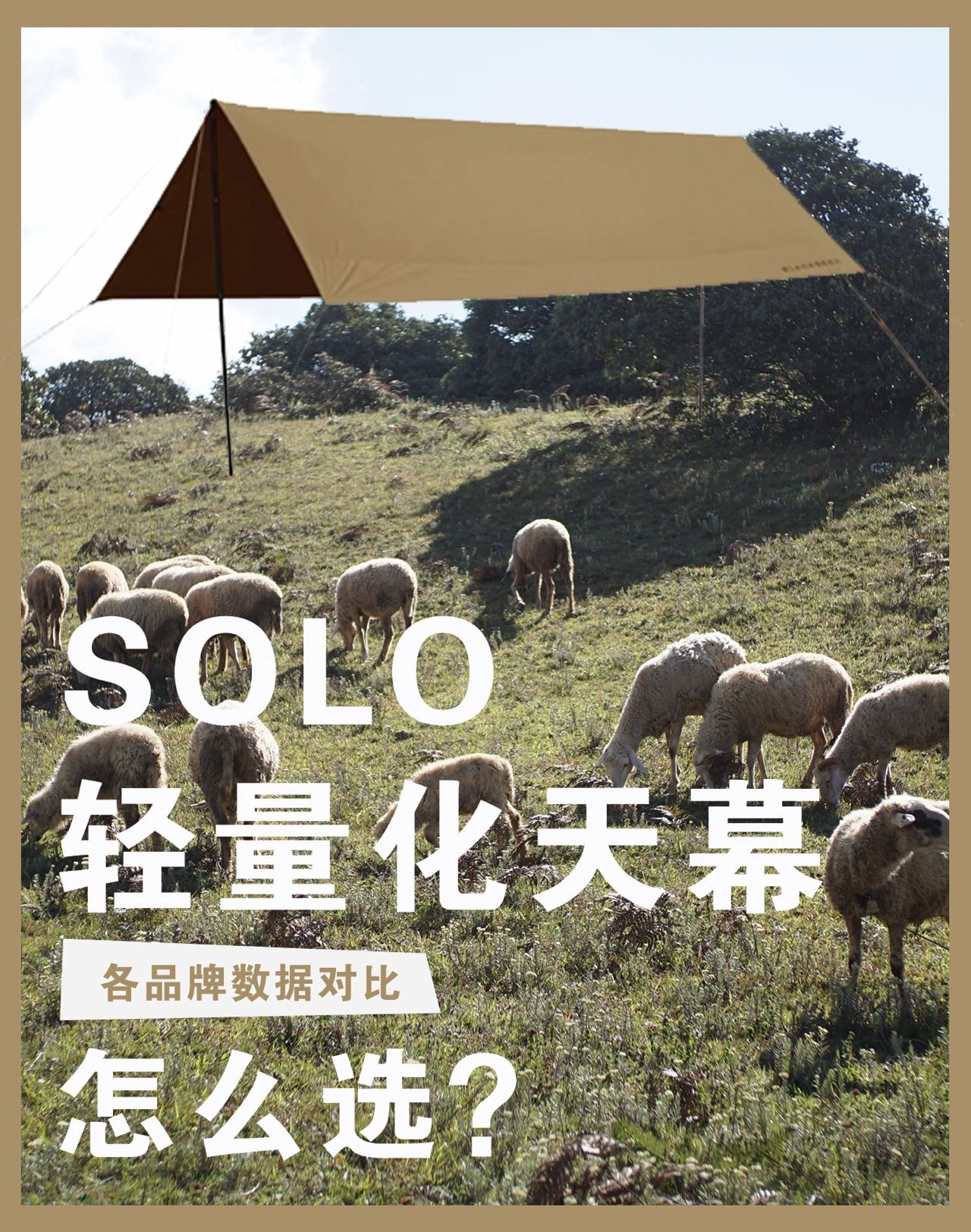 户外露营轻量化天幕怎么选？