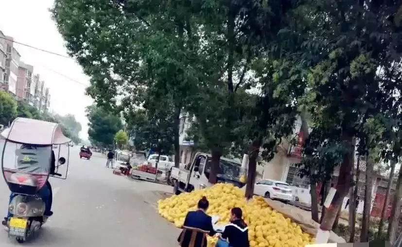 恕我直言！这个东西在北方并不受欢迎。