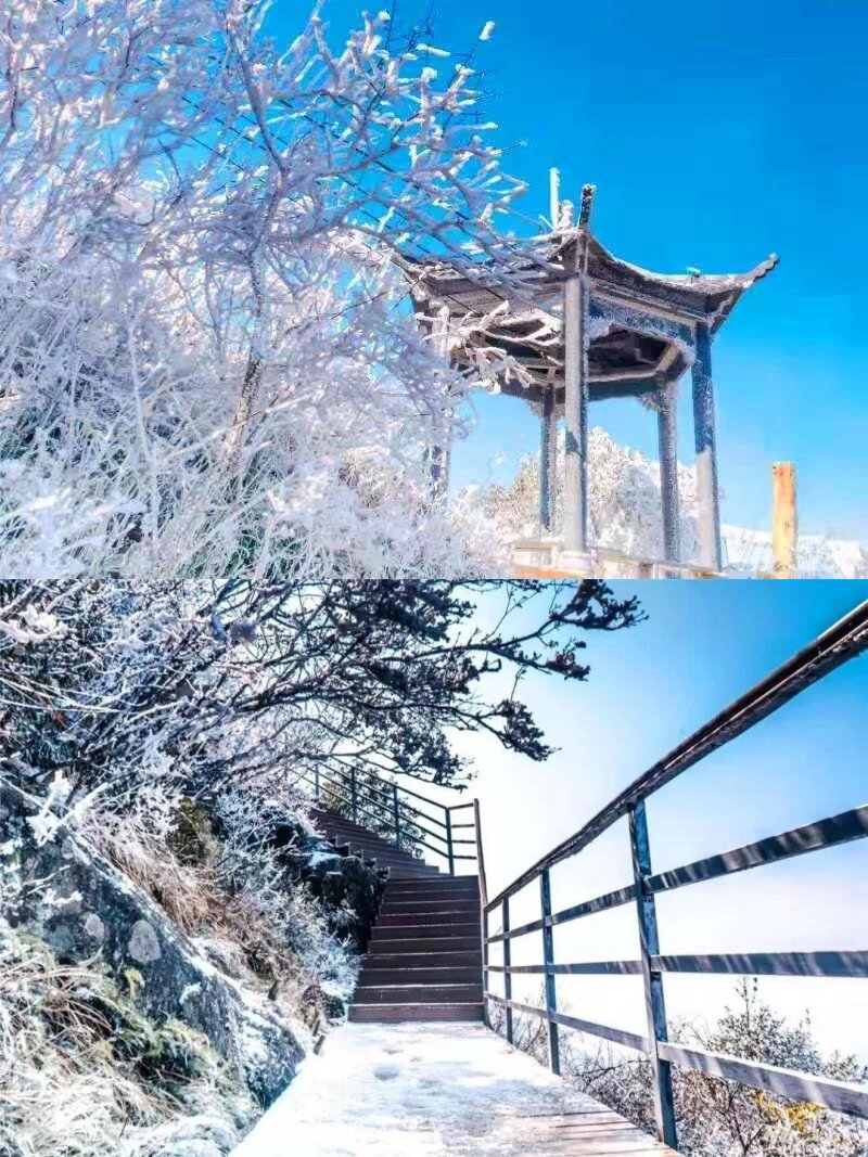 属于广东人的初雪来了！3.5H直达