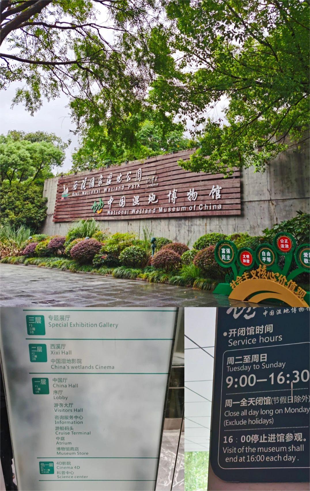 可以骑恐龙骑大象/中国湿地博物馆太好逛了