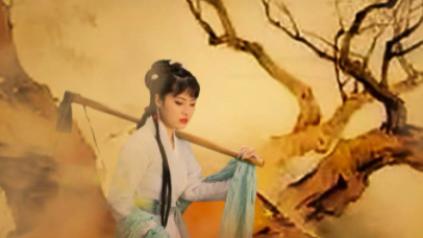 农家才女贺双卿，安于现状性子软弱，最终被婆家折磨致死