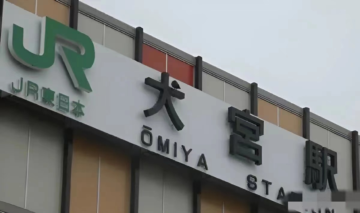 这只鸟真是让人无法忍受！