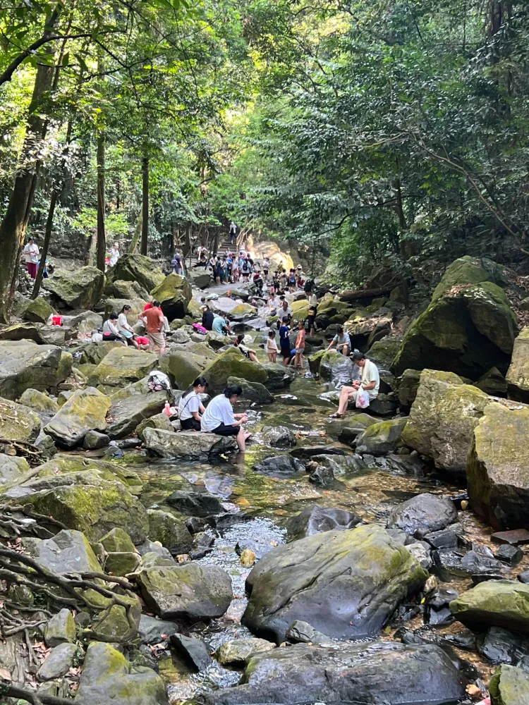 夏天溯溪遛娃好去处!肇庆鼎湖山
