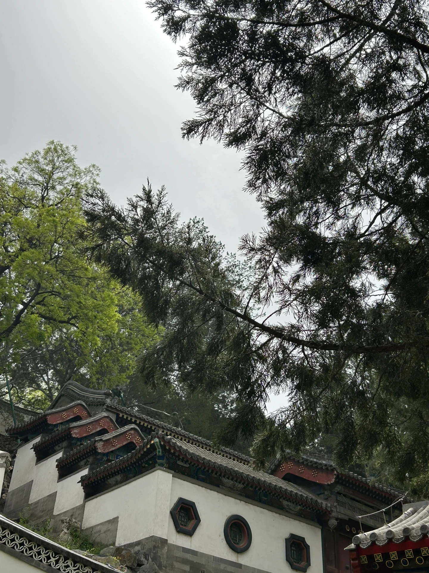 北海公园线路图在这，快来打卡吧