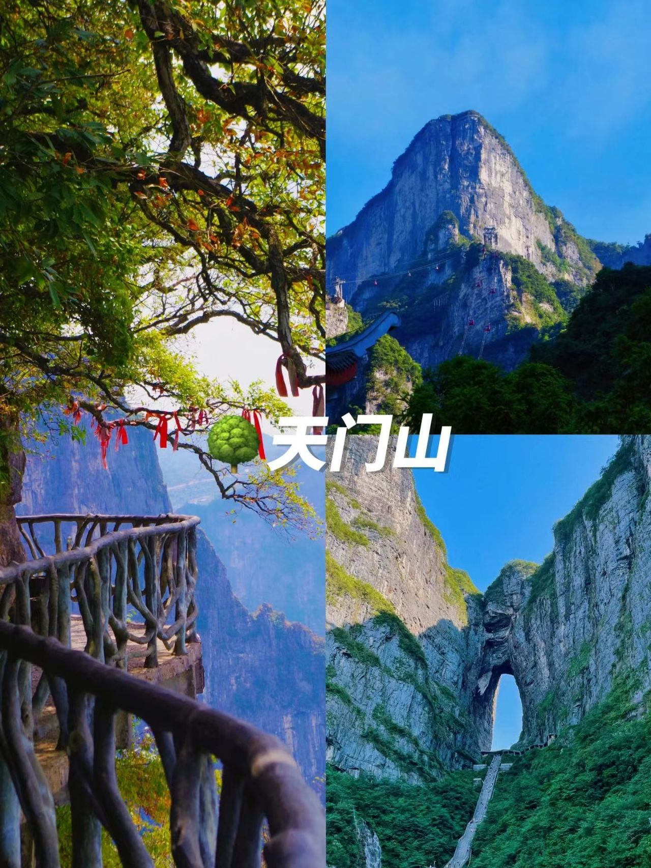 人生建议‼️下个月张家界赏秋一定要来这里