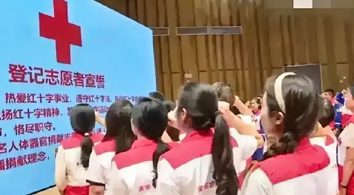 这帮孩子居然自愿举手捐献器官，这到底是哪来的主意啊，难道不觉得太过分了吗？
他们