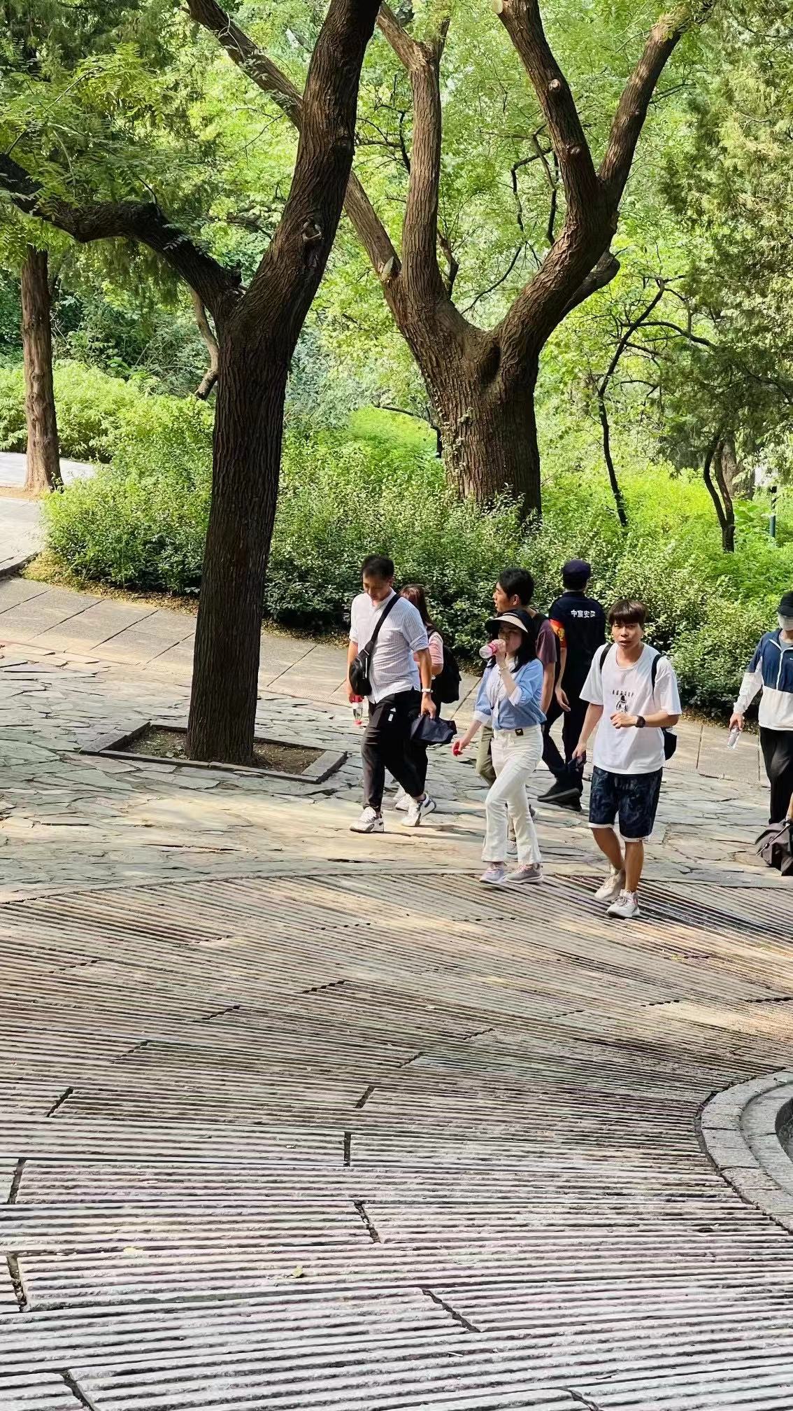线上聊十次， 不如线下见一面！
本次爬香山活动结束，共22人参与。
这种形式的小