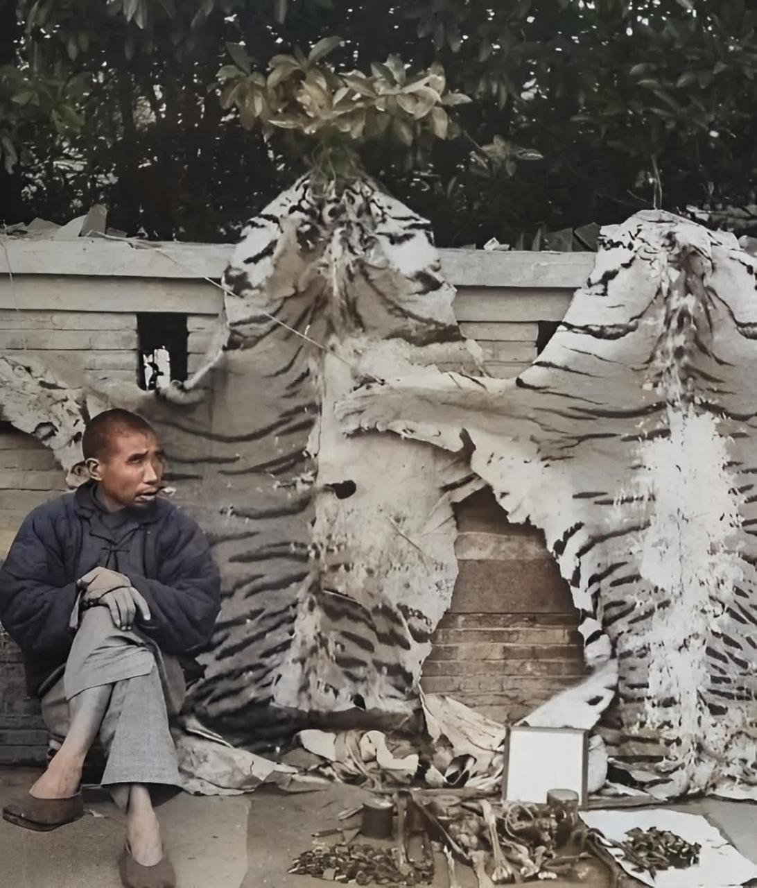 民国时期，一位小贩坐在凳子上，悠闲地等待着顾客光顾。他身后挂着两张巨大的虎皮，显