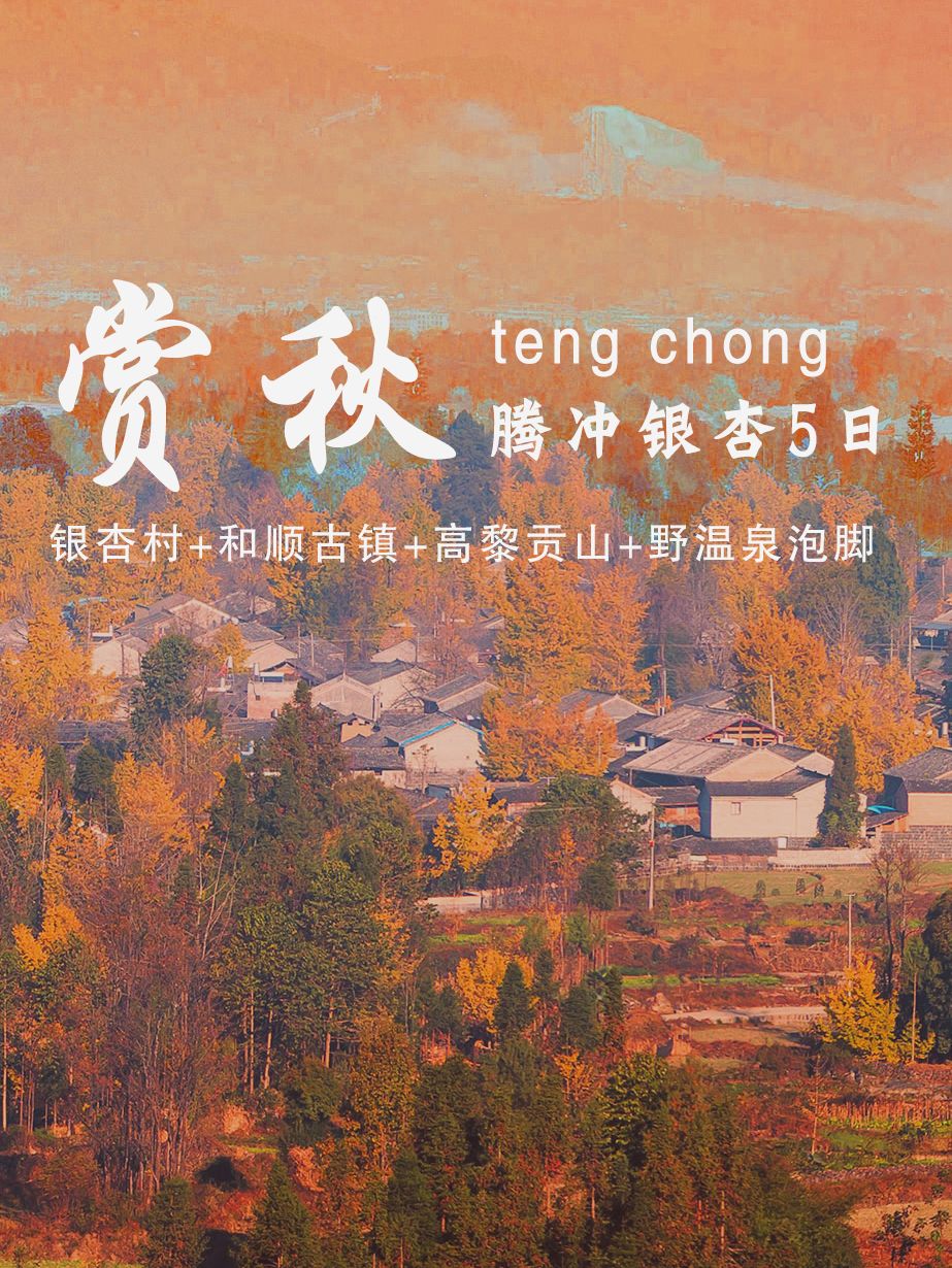 腾冲银杏！冷门秋景在腾冲感受躺平人生