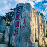 风从鲁来