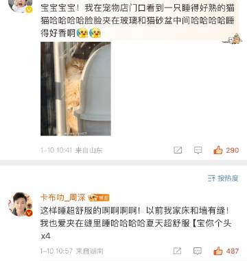 难怪说猫是液体~
得多薄啊🥹🥹🥹 ​