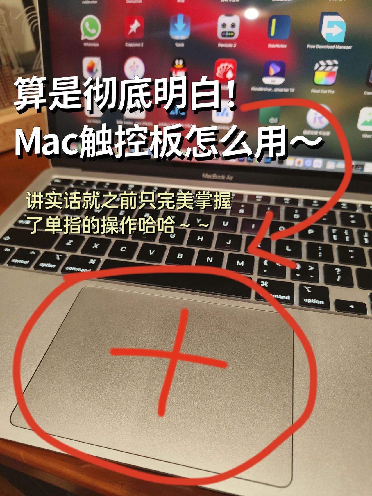 笔记本触控板#新手电脑入门基础知识#