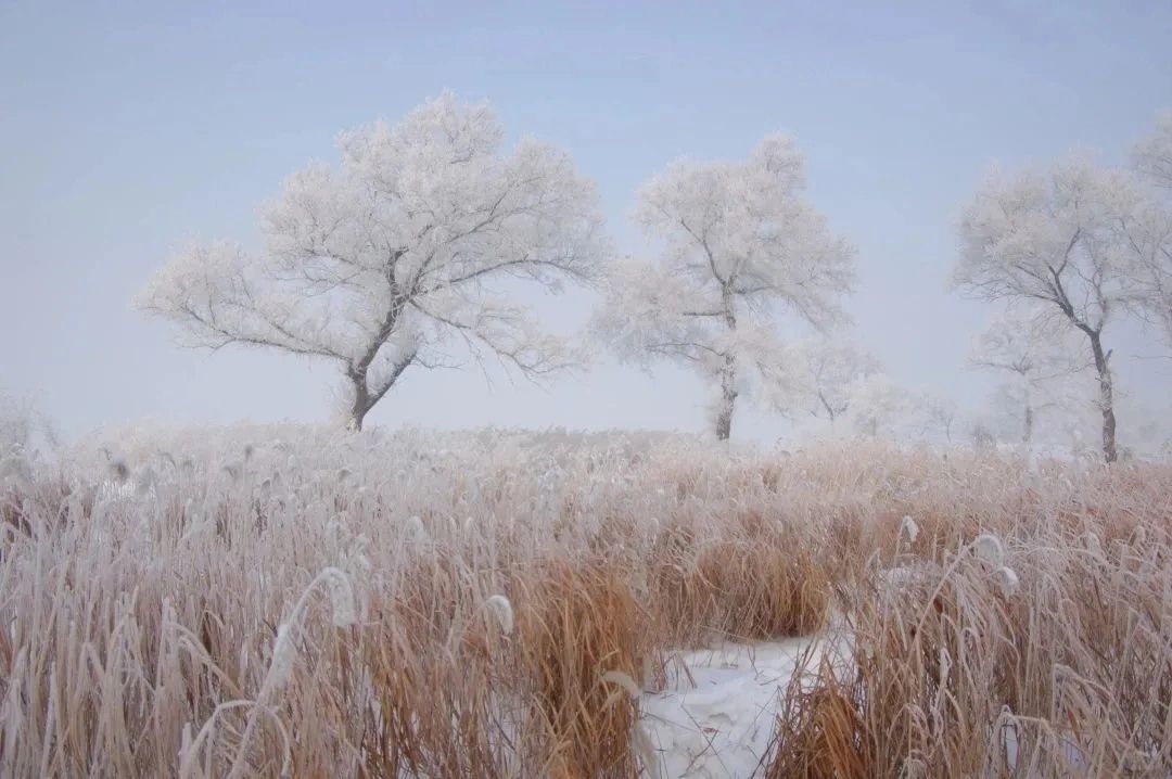 人生谷底想起故乡的碎碎念
正在经历一段人生中从未有过的失意和低落，最近总是莫名想