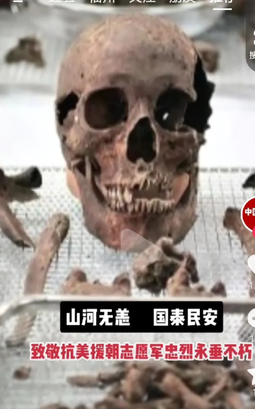 为什么，胆小如鼠的我看见志愿军烈士的遗骨，没有一点点的害怕、厌恶，而是伤心和崇敬