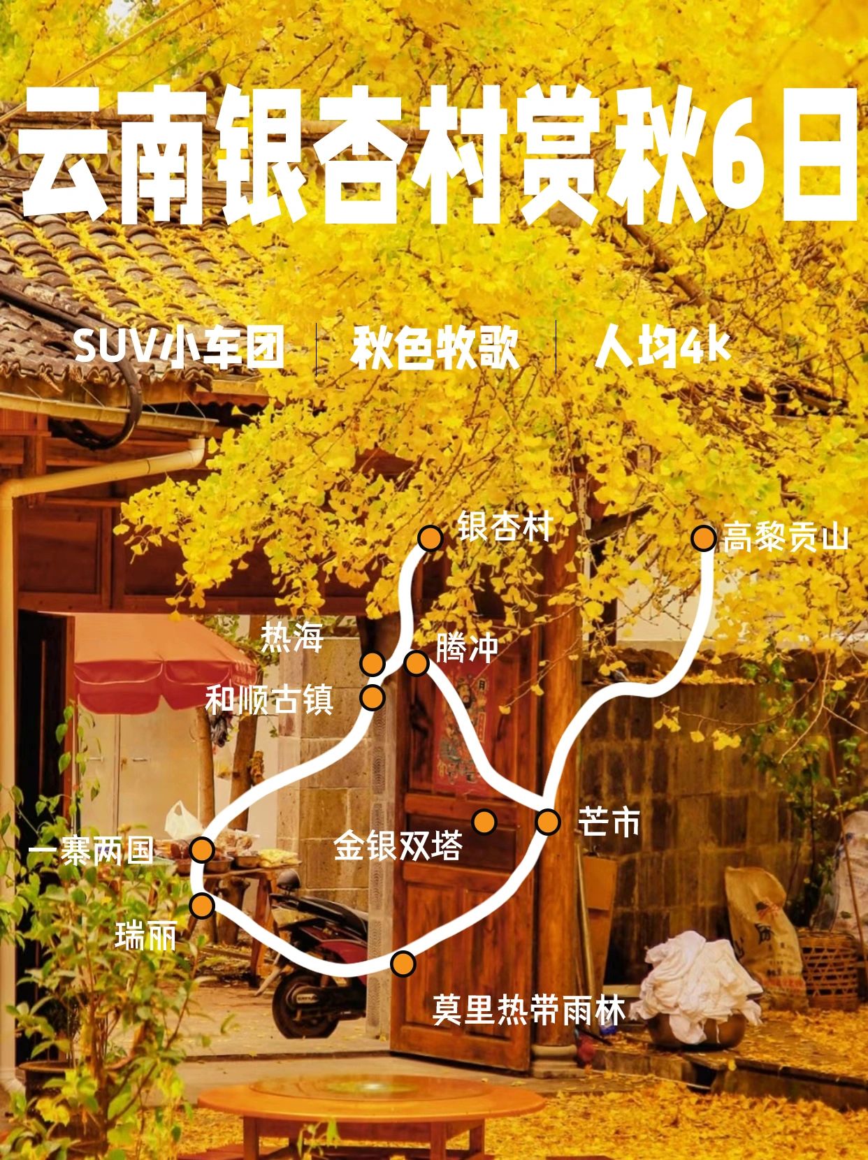 云南银杏村6️⃣日赏秋详细攻略