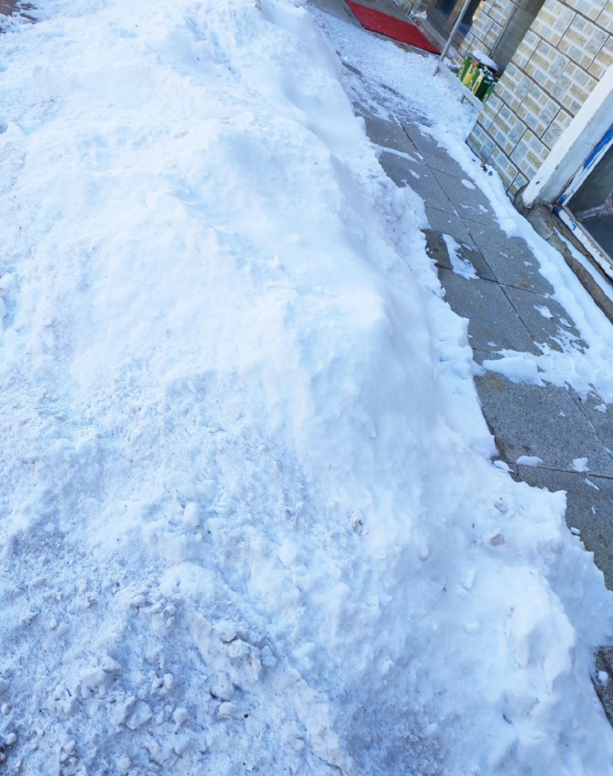 亲，想看雪吗？那那都是雪，车底下，路上，树下，你家门囗，我家檐下，纯白白的雪是没
