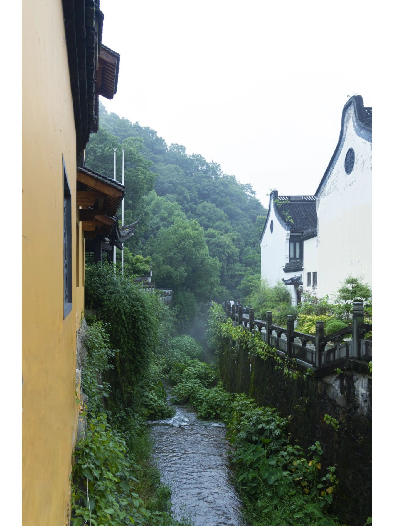杭州小众打卡，这条神仙徒步路线太好逛