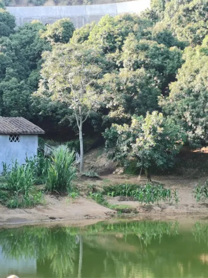 特别推荐，广大钓友可以去。不太远