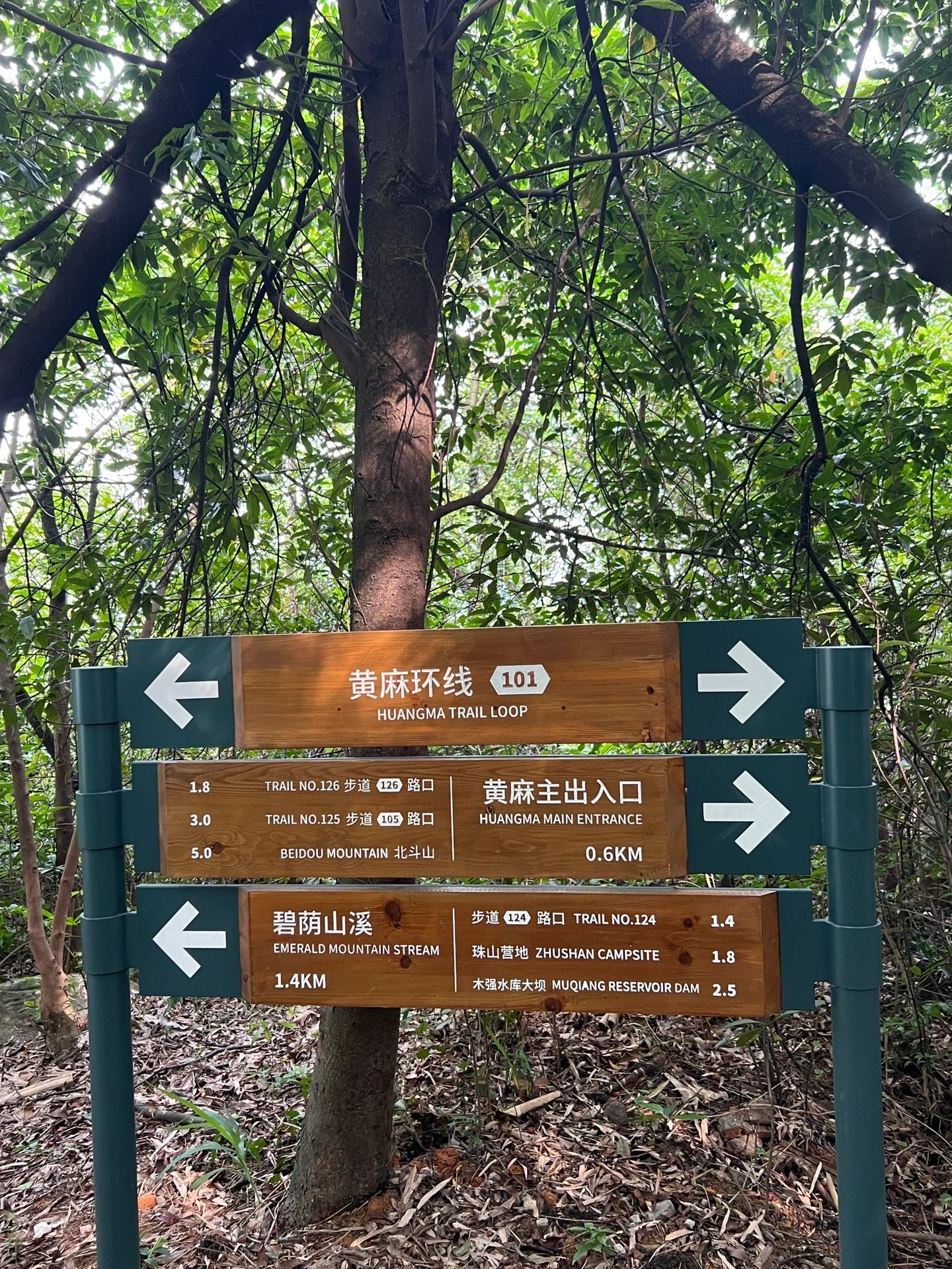广州徒步去哪儿｜宜步入丛林🍃